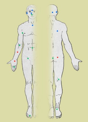 Die Illustration zeigt die Stellen der Haut, von denen Proben zur Analyse der Bakterien-DNA entnommen wurden.