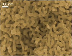 Schwamm aus Gold unter dem Mikroskop