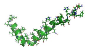 Molekülmodell eines Beta-Amyloids (A-beta 42)