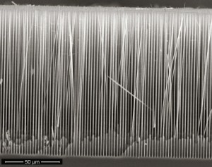 Nanodrähte aus Silizium für bessere Akkus