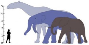 Prähistorische Nashörner und Rüsseltiere waren noch um einiges größer und schwerer als die heutigen Elefanten 