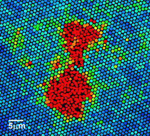 Ein bereits flüssiger Bereich verschmilzt im Kristall mit einem weiteren unter starkem Vibrieren (rot markiert) der Partikel.