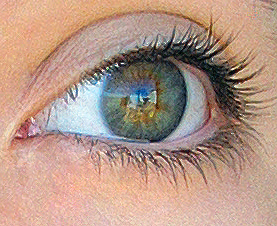 Braun oder blau - die Augenfarbe beeinflusst die Glaubwürdigkeit