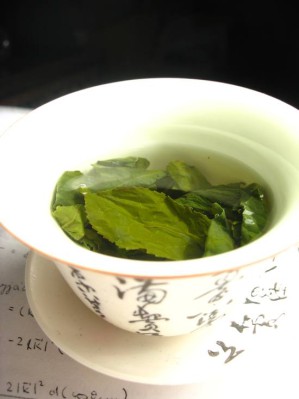 Grüner Tee wird aus unfermentierten Blättern der Teepflanze Camellia sinensis zubereitet.