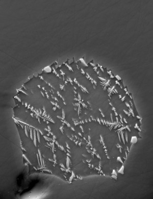 Das Bild zeigt einen Schmelz-Einschluss in Mondgestein, aufgenommen mit einem Elektronenmikroskop. Eingeschlossen in einen Olivin-Kristall hat der wasserhaltige Einschluss nur 30 Mikrometer Durchmesser.