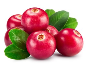 Cranberries enthalten mehrere Substanzen mit unterschiedlicher gesundheitsfördernder Wirkung.