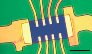 Mikroskopische Aufnahme eines supraleitenden Transistors mit extrem dünnen Schichten aus Molybdändisulfid
