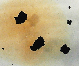 Mikroskopaufnahme der flüssigen Murmeln mit einer dünnen Hülle aus Ruß.