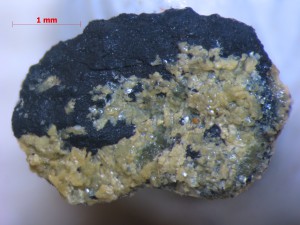 Kleine Stepanovit-Kristalle auf einem Kohlestückchen