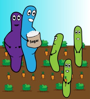 In nährstoffreichen Medien werden Bakterien deutlich größer (blau und violett) als in nährstoffarmen (grün), weil sie mehr Lipide bilden können.