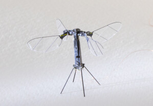 Der Flugroboter „Robobee“ wiegt nur 259 Milligramm und kann allein mit dem Strom aus Solarzellen fliegen.