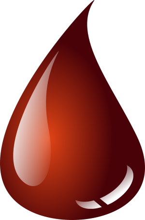 Blut mit einem Artgenossen zu teilen, ist für Vampirfledermäuse ein echtes Opfer.