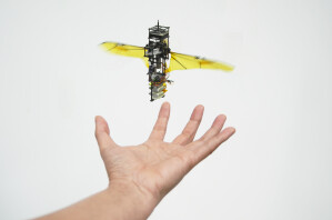 Roboterfliege mit faltbaren Flügeln, die wie ein Stoßdämpfer die Wucht einer Kollision mindern können.