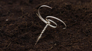 Dieser bionische Samentransporter kann sich wenige Zentimeter tief in die Erde bohren. 