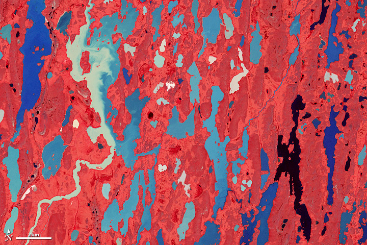 Obwohl in Nunavut, Kanadas nördlichster Provinz, die Bäume und Büsche fehlen – der Boden ist meist gefroren –, zeigt sich im Juli doch fast flächendeckendes Grün: Flechten, Moose und Gräser bedecken auch die Kitikmeot-Region, rot leuchten sie im Satellitenbild. Dazwischen flache Seen, zurückgelassen von Gletschern der letzten Eiszeit. Das Bild des Advanced Spaceborne Thermal Emission and Reflection Radiometer (ASTER) an Bord des Terra-Satelliten kombiniert 14 Spektralbänder des Lichts.