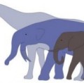 Prähistorische Nashörner und Rüsseltiere waren noch um einiges größer und schwerer als die heutigen Elefanten 