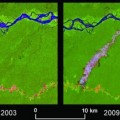 Satellitenbilder zeigen Vernichtung peruanischen Regenwalds zwischen 2003 und 2009