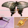 Schmetterling mit Drucksensor am Flügel