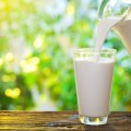 Ist zu viel Milch für Erwachsene ungesund?