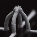 Leitfähige Tinte für den 3D-Druck von dehnbaren Mikrodrähten