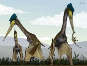 Riesenflugsaurier der Gattung Quetzalcoatlus 