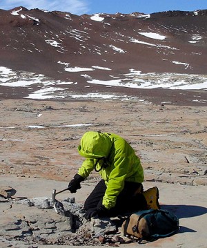Christian Sidor auf der Suche nach Tetrapodenfossilien in der Antartiks.