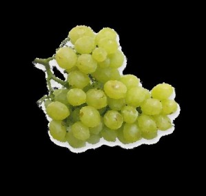 Statt Resveratrol enthalten weiße Weinbeeren andere wirksame Antioxidanzien