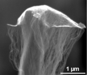 Einwandige Nanoröhrchen wachsen aus einer Kohlenstoffbasis und heben dabei einen 