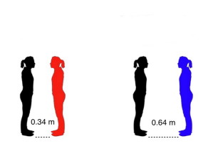 Patientin SM (rot) hatte jedes Gefühl für Distanzzonen verloren und stand am liebsten ganz dicht vor der Versuchsleiterin (schwarz). Gesunde Probanden (blau) hielten dagegen einen Abstand von über 60 zentimetern ein.
