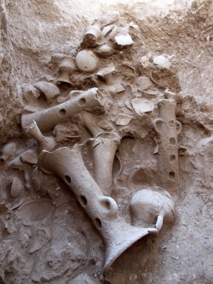 3500 Jahre alt sind diese ungewöhnlich gut erhaltenen Gegenstände aus einer Höhle bei Tel Qashish (Israel)