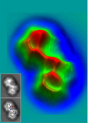 Tiefsee-Molekül unter dem Rasterkraftmikroskop