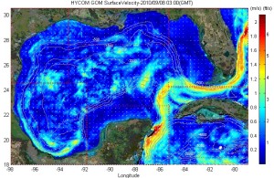 Strömungs-Vorhersage für den Golf von Mexiko