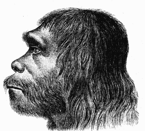 Der Neandertaler als tumber Geselle - so sah man ihn in der ersten Rekonstruktion am Ende des 19. Jahrhunderts.