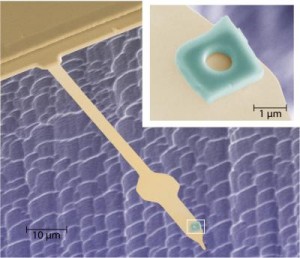 Supraleiter auf einem Mikrohebel aus Silizium