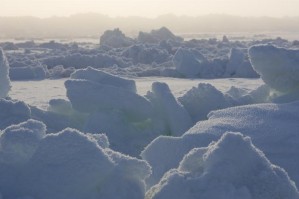 Schmelzendes Eis in der Arktis