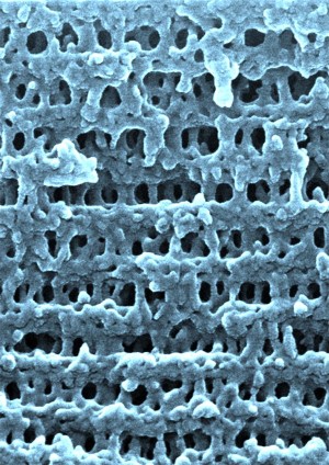 Nanoporen durch platzende Plastikblasen