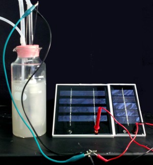 Elektrosprit: Prototyp des Bioreaktors
