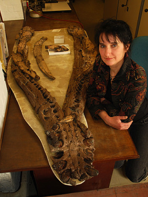 Judyth Sassoon mit dem Unterkiefer des untersuchten Pliosaurus 