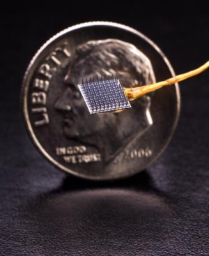 Der winzige Chip dient als Schnittstelle zwischen Hirn und Computer