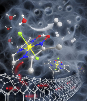 Kobaltkomplexe docken an Nanoröhrchen an und können Wasser effizient in einer Elektrolyse spalten (Grafik)