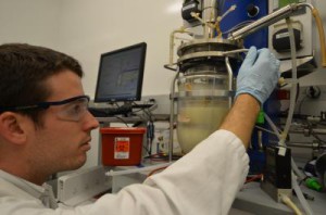 In einer solchen Fermentationskammer im Berkeley-Labor setzen sich Aceton und Butanol in einer klaren Schicht über der bakteriellen Brühe ab.