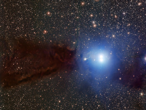 Inmitten einer dunklen Wolke aus Staub und Gas entstehen hell leuchtende neue Sterne. Im Sternbild Skorpion gelegen, ist diese auch Lupus 3 genannte Sternentstehungsregion nur etwa 600 Lichtjahre von der Erde entfernt.