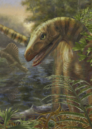 Asilisaurus, eine Gattung der Archosaurier, war bis zu drei Meter lang und bis zu 30 Kilo schwer