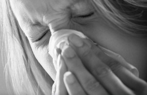 Eine schwere Grippe erhöht die Gefahr einer Zweitinfektion der Lungen durch Bakterien.