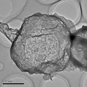 Mikroskopaufnahme des neuen Elektrodenmaterials: Nanoteilchen aus Eisenoxid werden in den Poren und Falten einer winzigen Karbonblase eingelagert