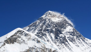 Theoretisch könnten Hummeln den höchten Berg der Welt überfliegen, den Mount Everest.
