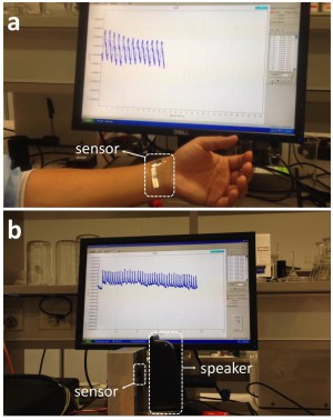 Wie auf dem Bildschirm zu sehen, spricht der Sensor auf ganz unterschiedliche Signale an: Oben der menschliche Pulsschlag, unten die Vibrationen eines Lautsprechers.