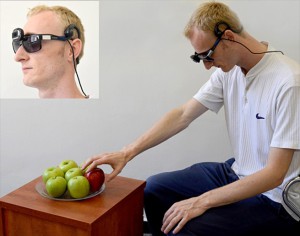 Eine einfache Kamera am Brillengestell liefert die Bilder, die das EyeMusic-System in Klänge umwandelt und dem Probanden ermöglichen, unter den Äpfeln auf dem Teller den roten zu erkennen