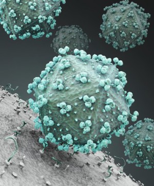 Der erste Schritt einer HIV-Infektion besteht im erfolgreichen Andocken der Viren an den Wirtszellen.