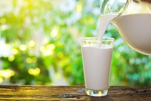 Ist zu viel Milch für Erwachsene ungesund?